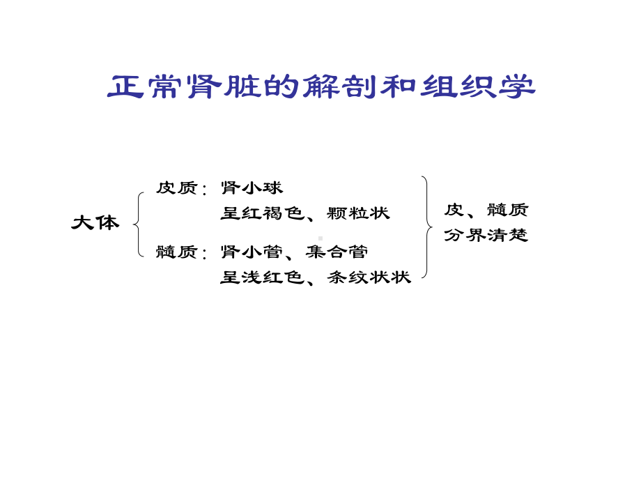 第十一章-泌尿系统疾病-课件.ppt_第2页