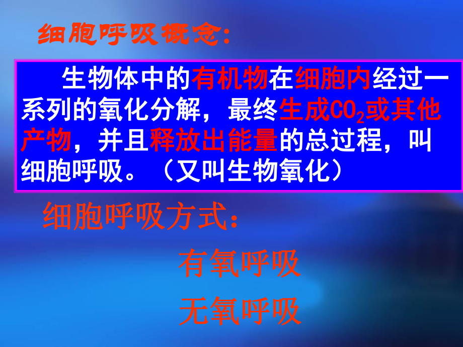 细胞呼吸19-人教版课件.ppt_第3页