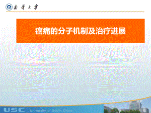 癌痛的分子机制及治疗进展课件.ppt