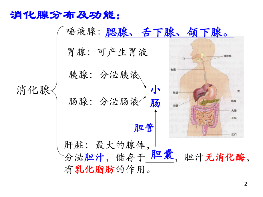 营养不良引起生长迟滞课件.ppt_第2页