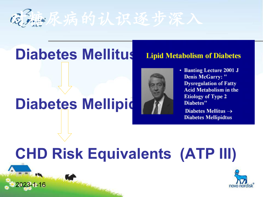 糖尿病脂质代谢紊乱及防治课件整理.ppt_第2页