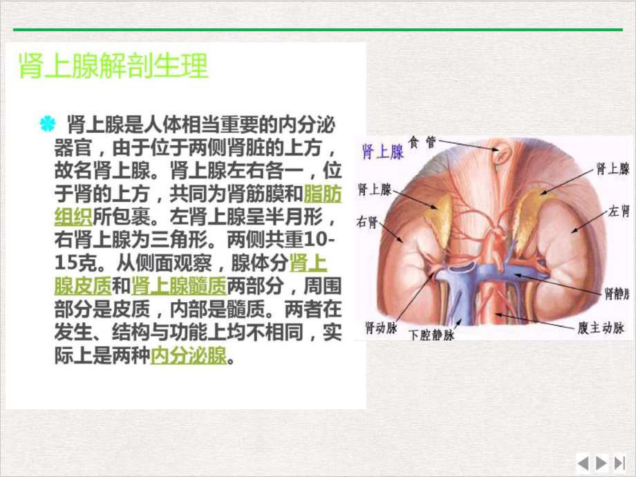 皮质醇增多症病人的护理课件.pptx_第2页