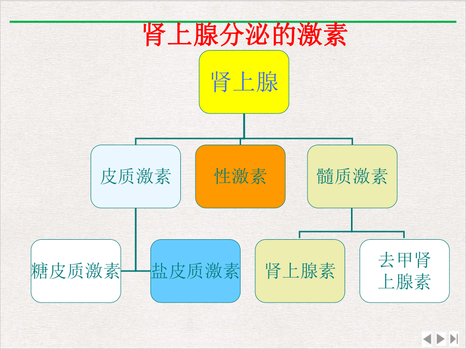 皮质醇增多症病人的护理课件.pptx_第3页