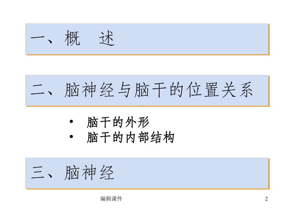 脑神经的解剖定位诊断和体格检查课件.ppt_第2页