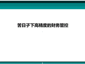 苦日子下高精度的财务管控课件.pptx