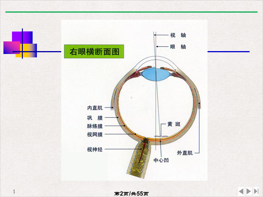 白内障康复与治疗(最新版)课件.pptx_第1页