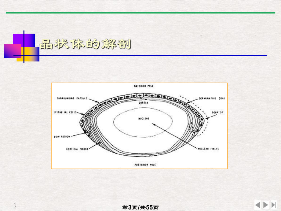 白内障康复与治疗(最新版)课件.pptx_第2页