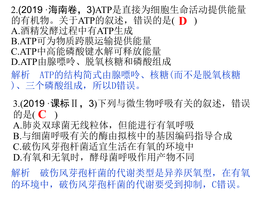 第9讲ATP与细胞呼吸《-随堂真题演练与课后分层训练》课件.pptx_第2页