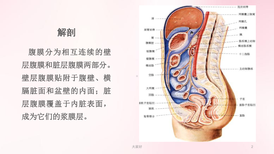 腹膜病变影像诊断及鉴别诊断-课件.ppt_第2页