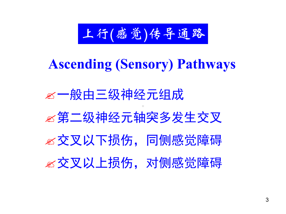 神经系统传导通路教学课件.ppt_第3页