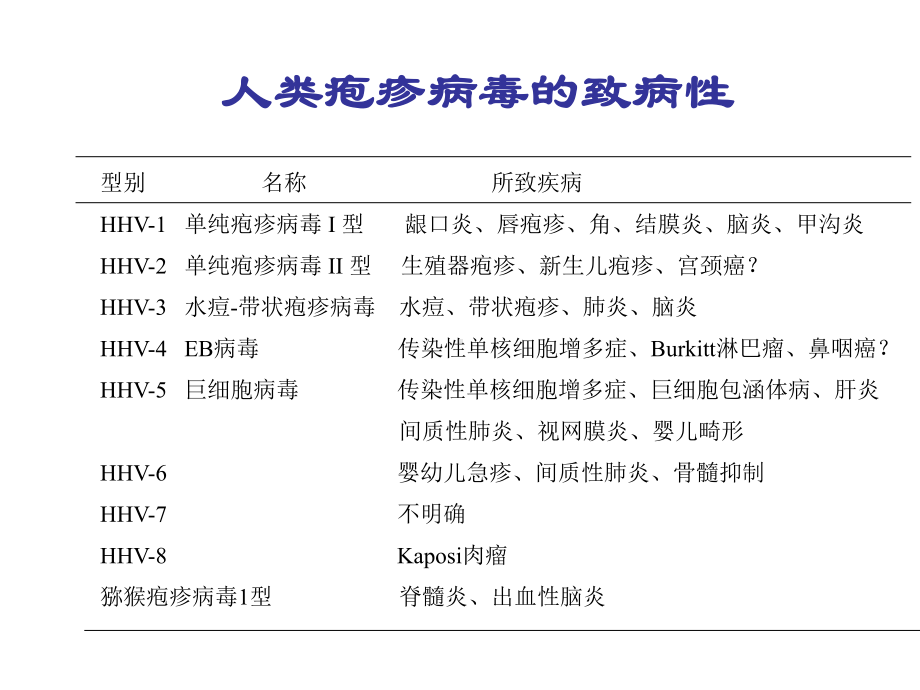 疱疹病毒完整版课件.ppt_第3页