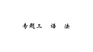 （部）统编版九年级上册《语文》期末专题复习3.专题三 语法ppt课件.ppt