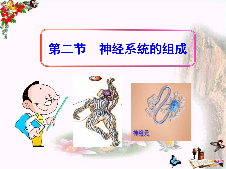 神经系统的组成-人体生命活动的调节优秀课件3.ppt_第1页