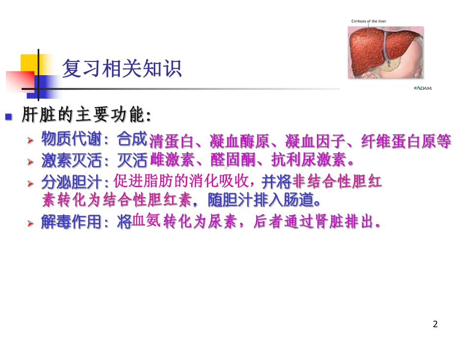 肝硬化病人的护理cirrhosisofliver课件.ppt_第2页