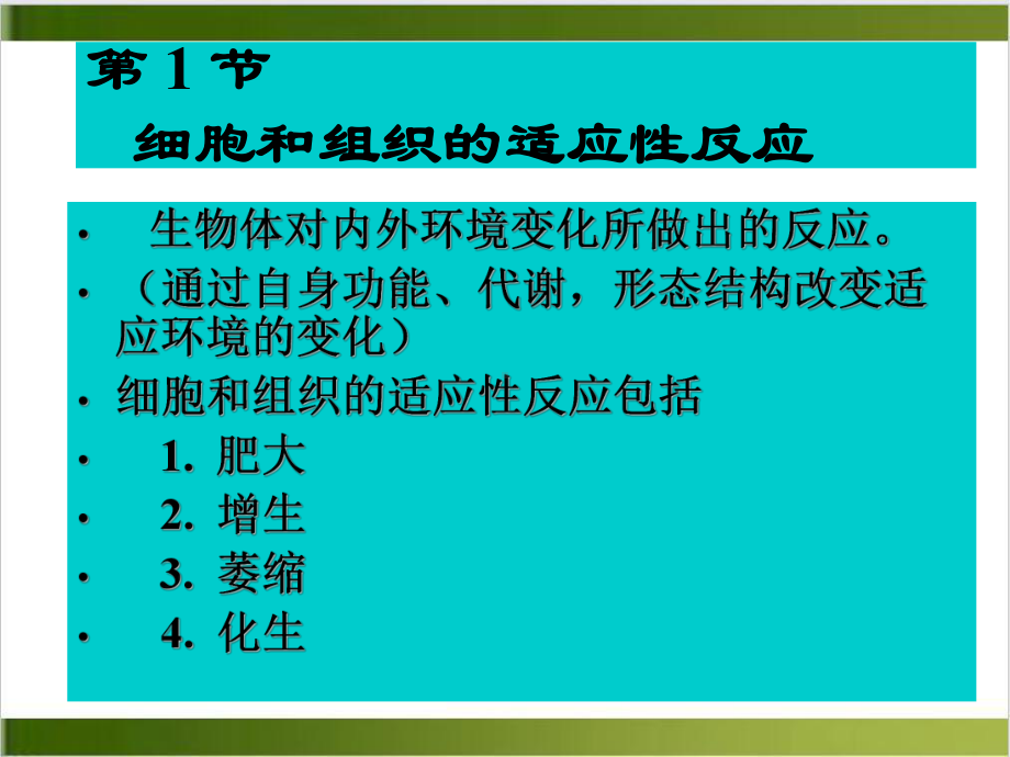 细胞和组织的适应损伤和修复病理学基础教学件示范课件.ppt_第3页