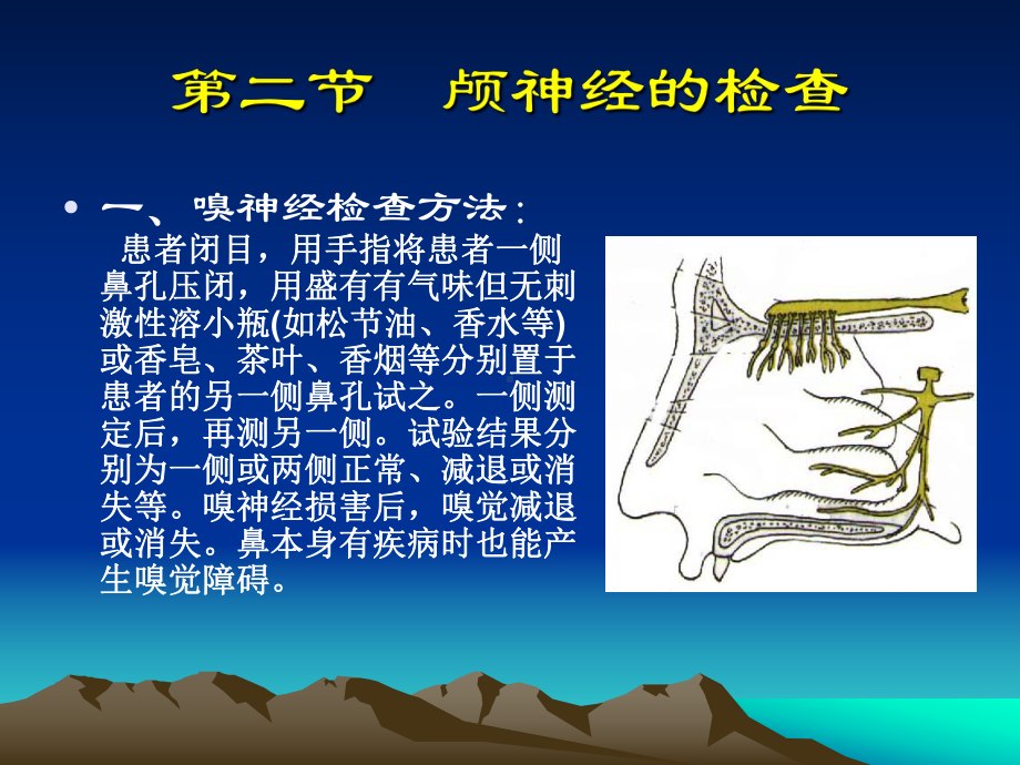 神经定位诊断学学习课件.pptx_第2页