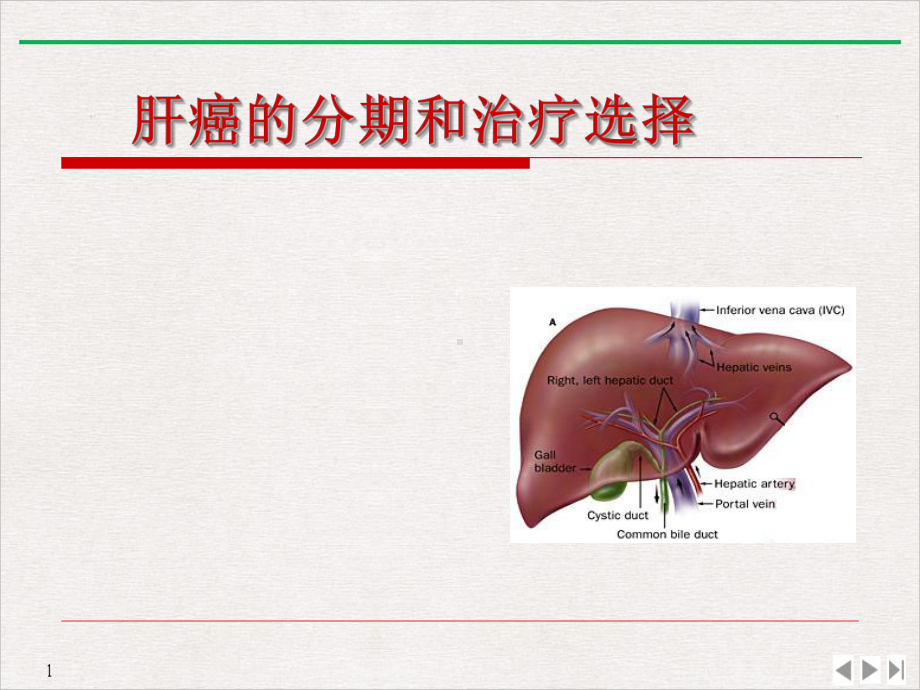 肝细胞癌的分期和治疗选择研究生实用版课件.pptx_第1页