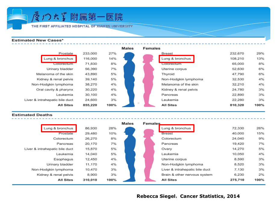 肺癌SBR的进展课件.ppt_第3页