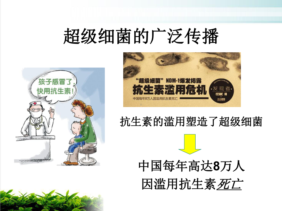 细菌鉴定药敏分析临床意义课件整理.ppt_第3页