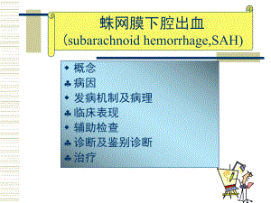 蛛网膜下腔出血临床诊疗课件.ppt