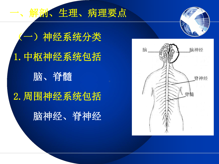 神经系统疾病病人护理ppt课件.ppt_第3页