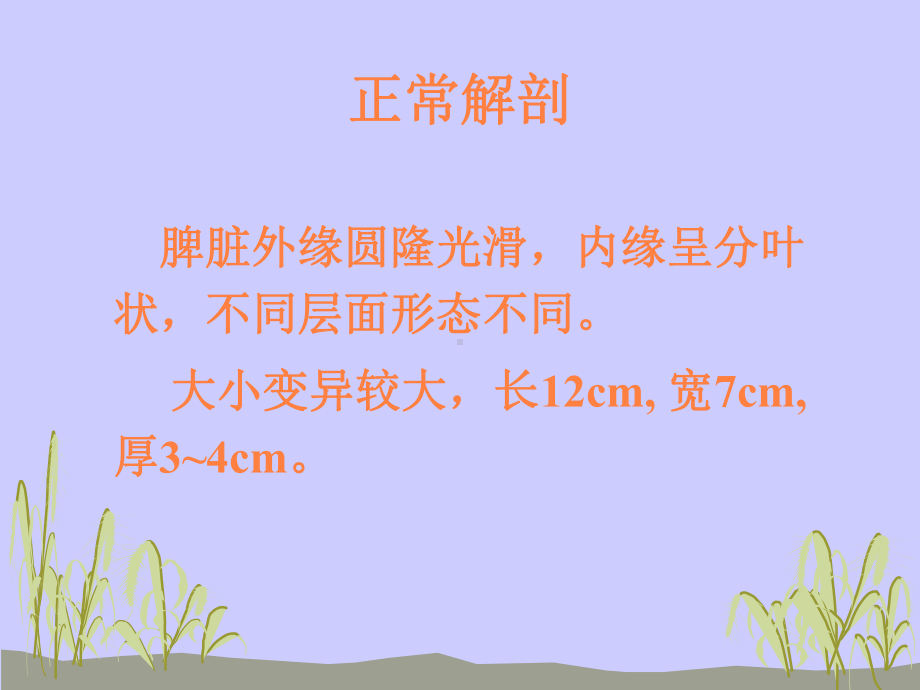 脾脏病变影像课件.ppt_第2页