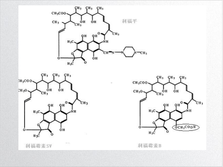 细菌耐药性的非特异性机制培训课件.ppt_第3页