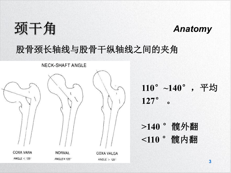 股骨颈骨折课件1.ppt_第3页