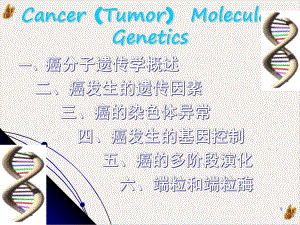 癌肿瘤遗传学课件.pptx