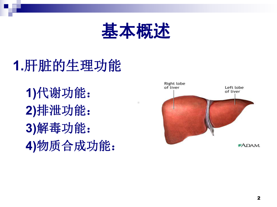 肝功能临床生化常见指标课件.ppt_第2页