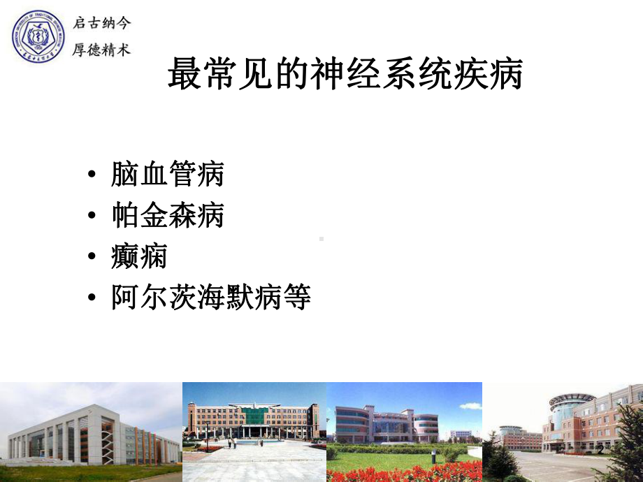 神经系统疾病的药物治疗-课件.ppt_第2页