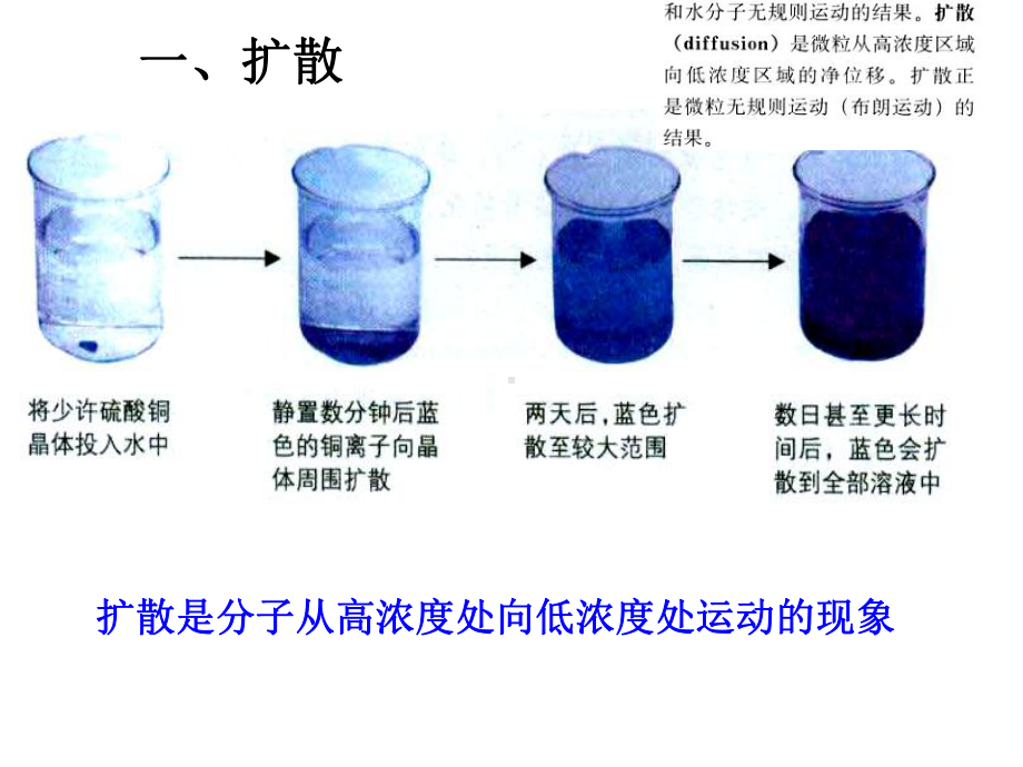 被动运输课件1.ppt_第2页