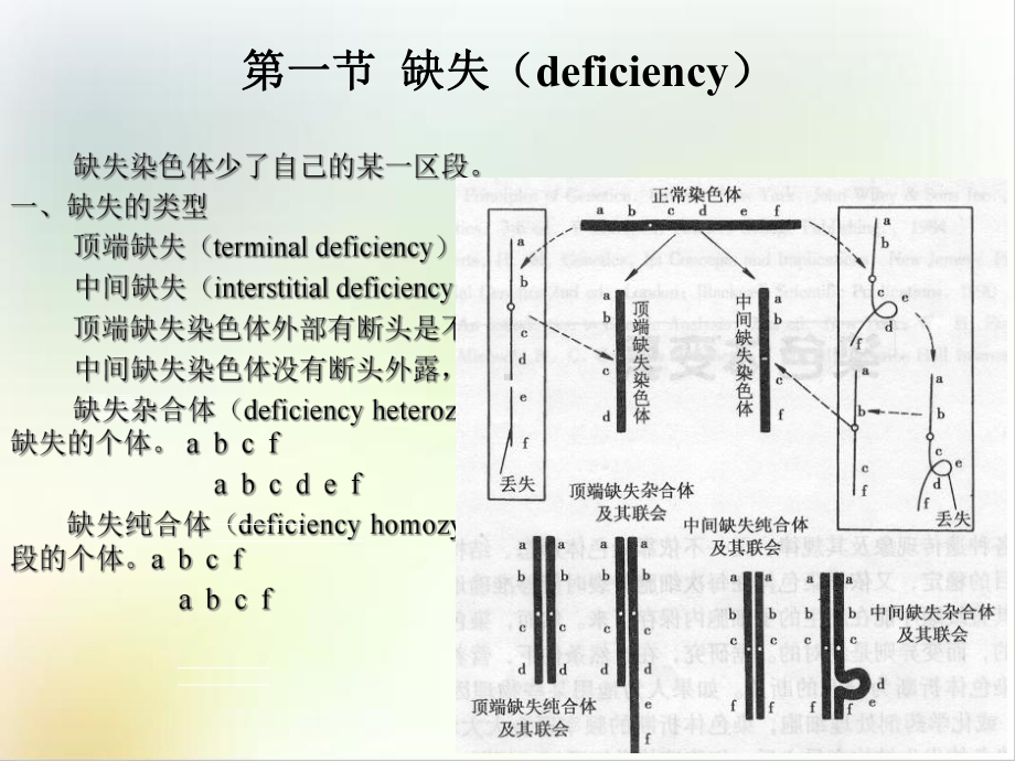 第八章染色体结构变异精选课件.ppt_第3页