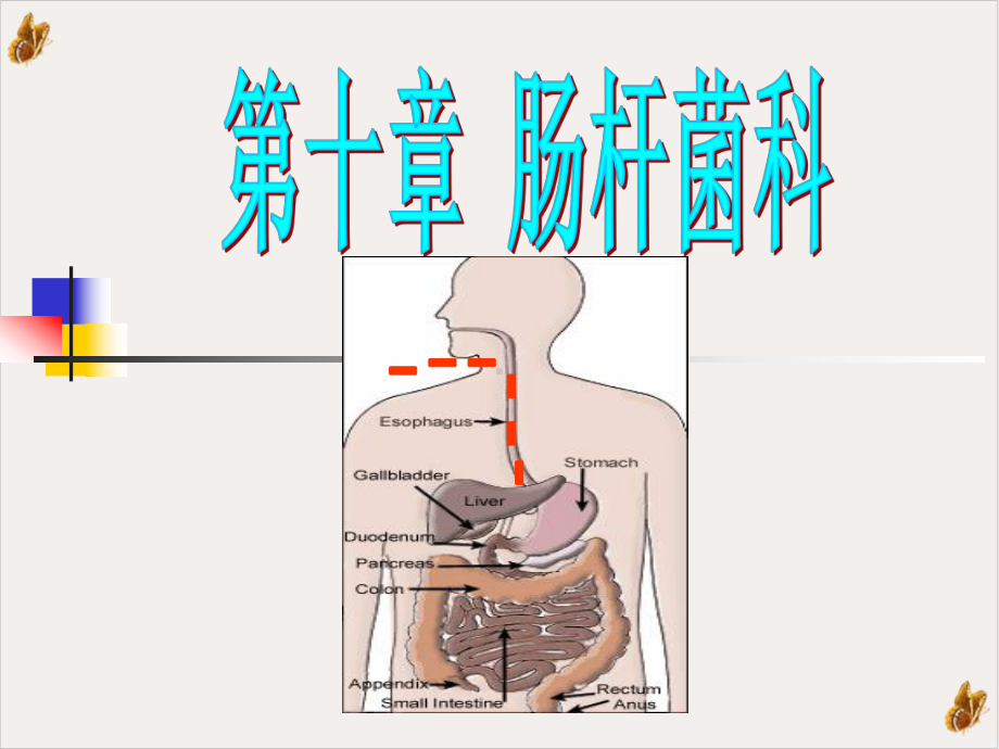 病原微生物肠杆菌科课件.pptx_第3页