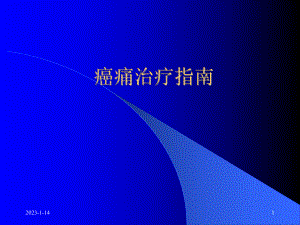 精选癌痛治疗指南资料课件.ppt