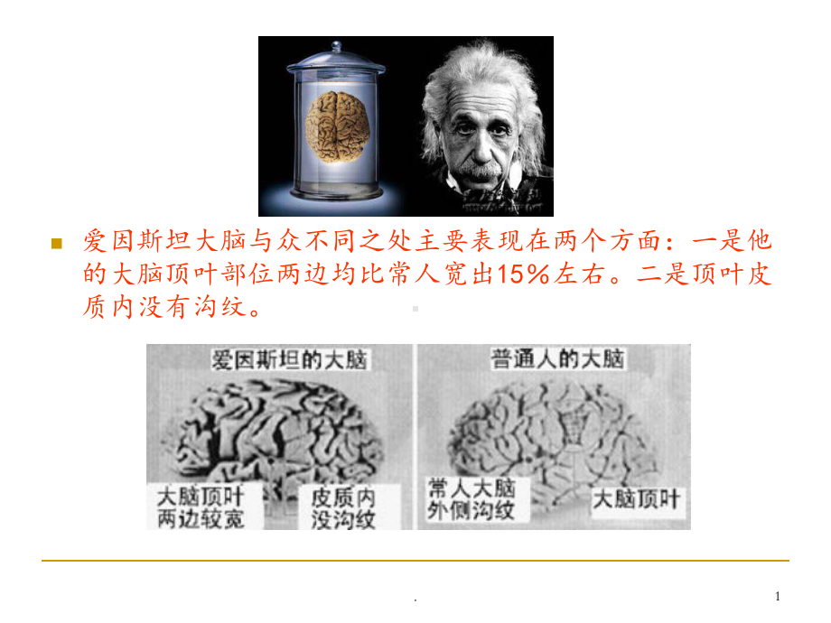 神经系统的发生课件(同名69).ppt_第1页