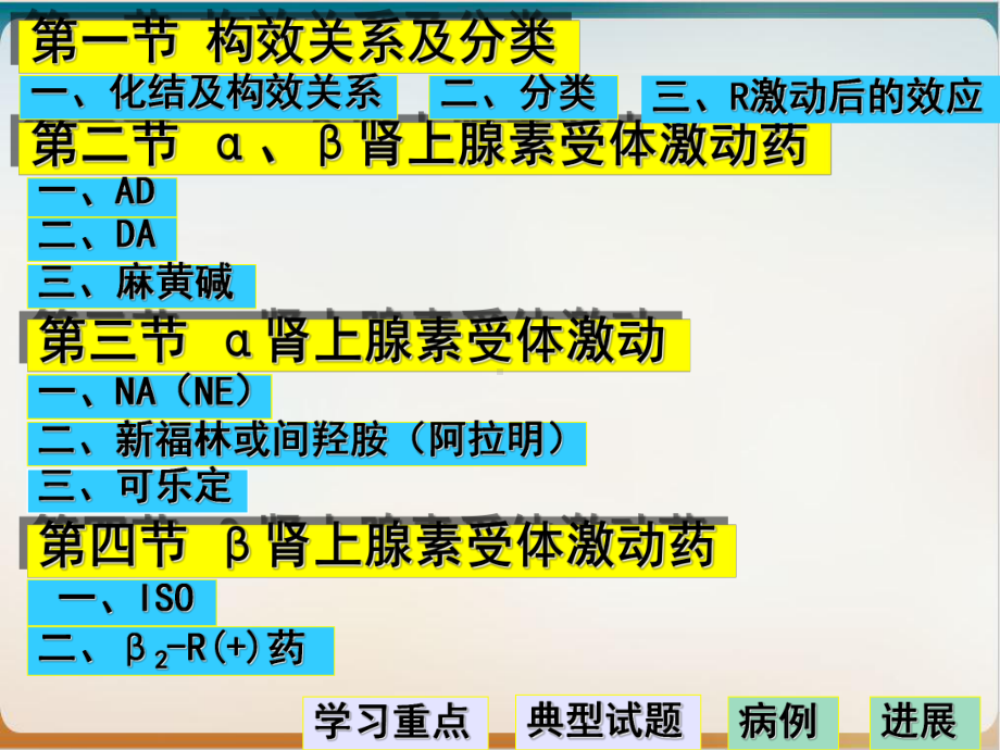 肾上腺素受体激动药我课件.ppt_第3页