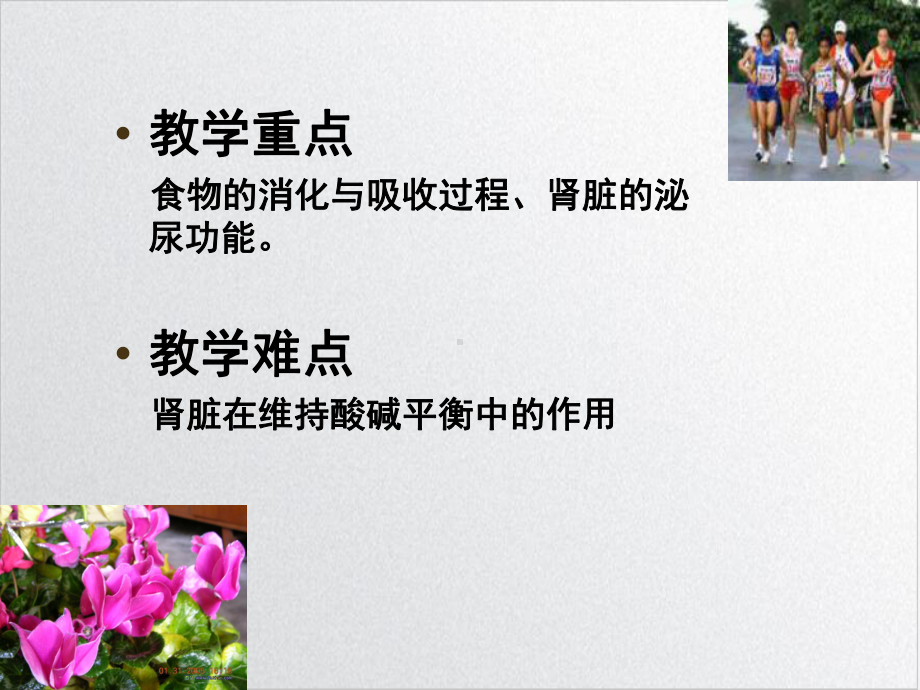 胃肠道和肾的功能与运动示范课件.ppt_第3页