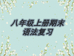 2022新人教版八年级上册《英语》期末语法复习习题ppt课件.pptx