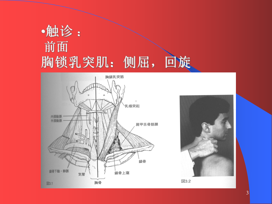 肌肉骨骼系统损伤评定课件.ppt_第3页