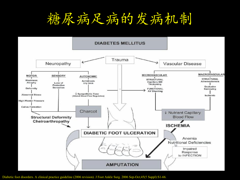 糖尿病足部护理和伤口护理课件整理.pptx_第3页