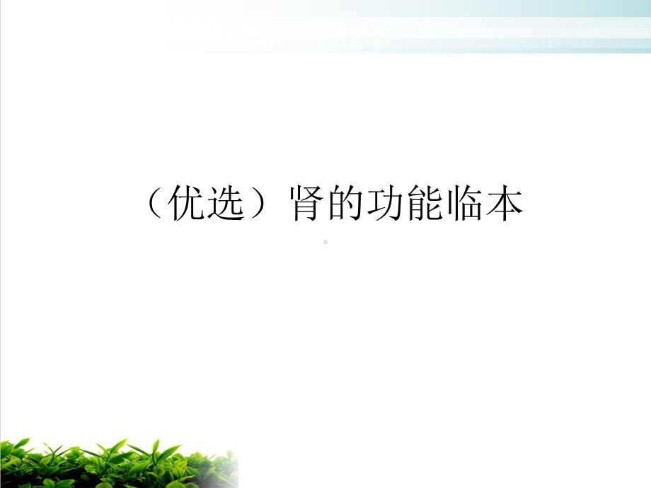 肾的功能临本示范课件.ppt_第2页