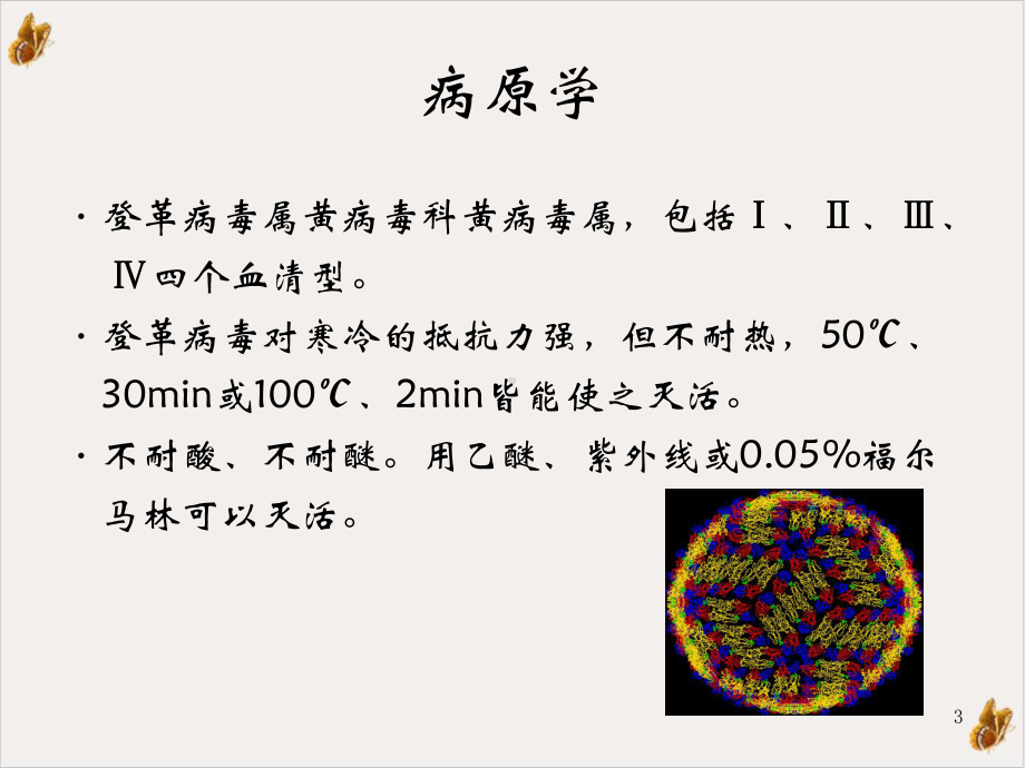 登革热及寨卡病毒病的防治课件.pptx_第3页