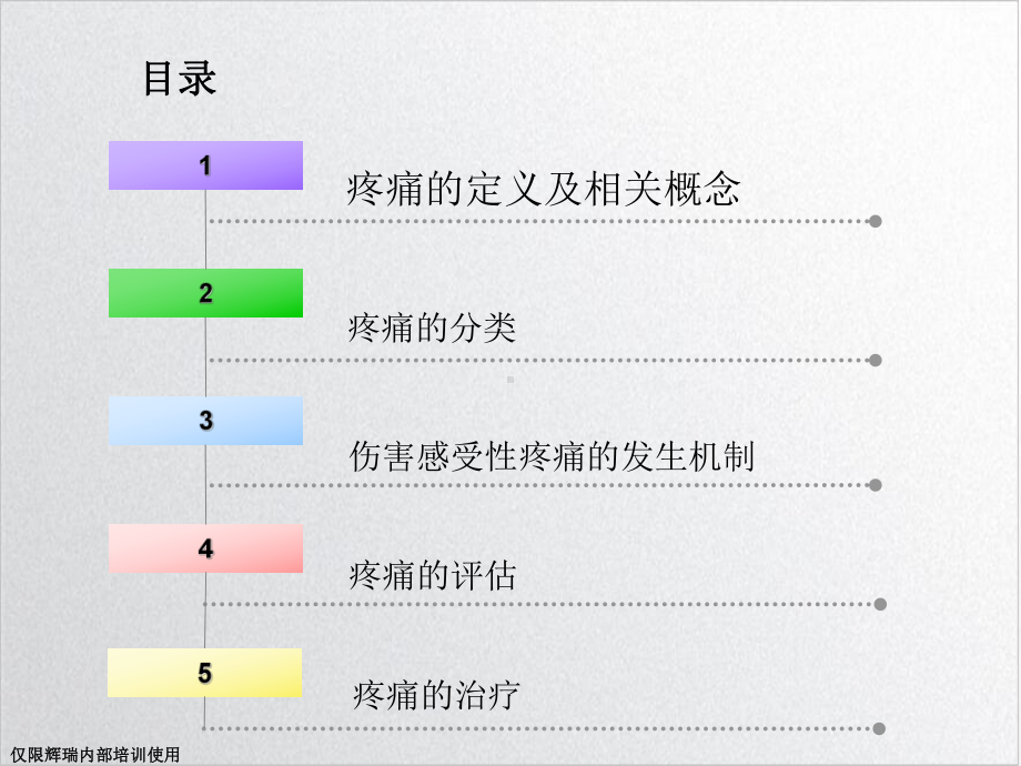 疼痛基础知识课件.ppt_第2页