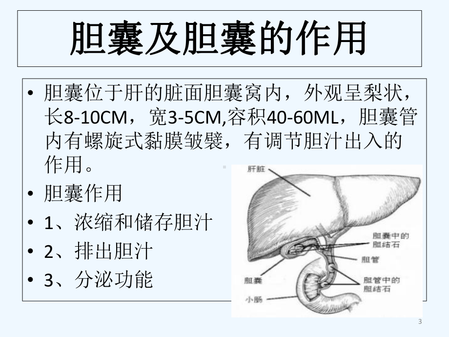 胆囊结石小讲课-课件.ppt_第3页