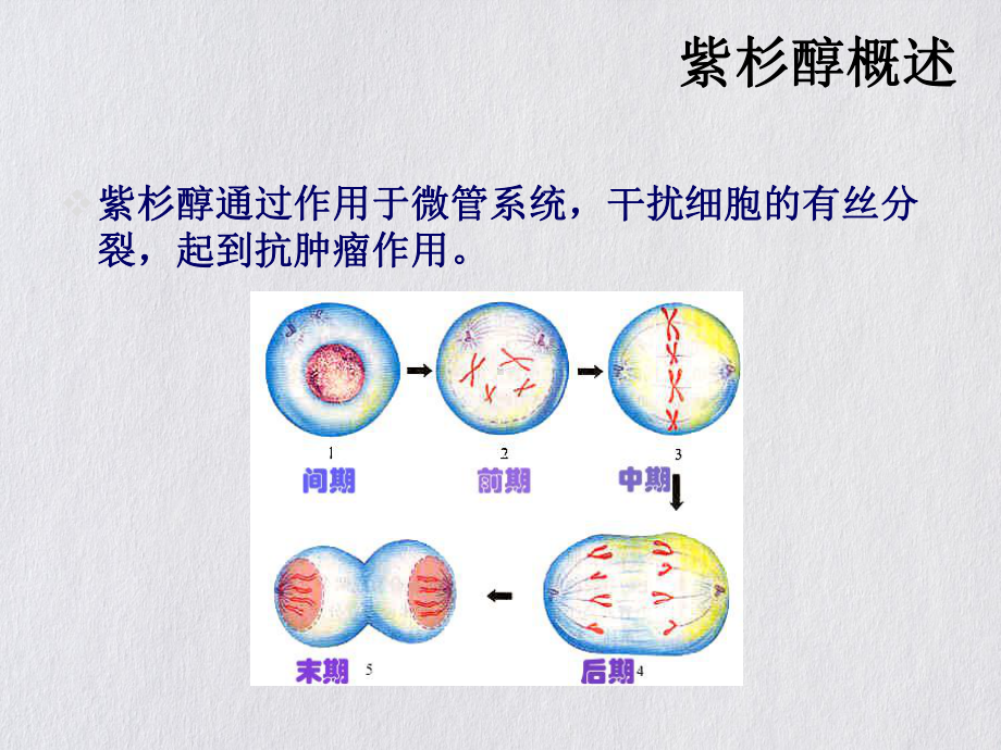 紫杉醇的常见副作用及护理要点课件.pptx_第3页