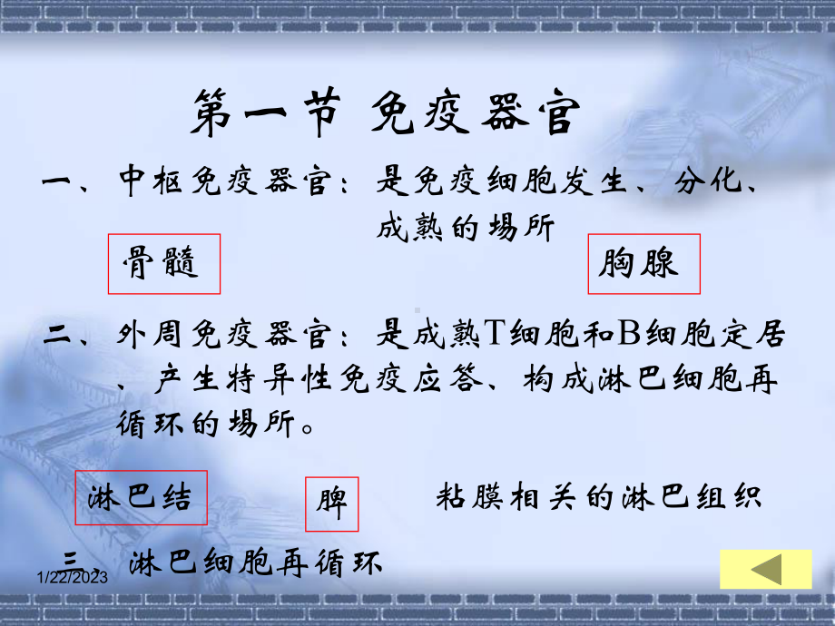 第五章免疫系统张课件.ppt_第1页