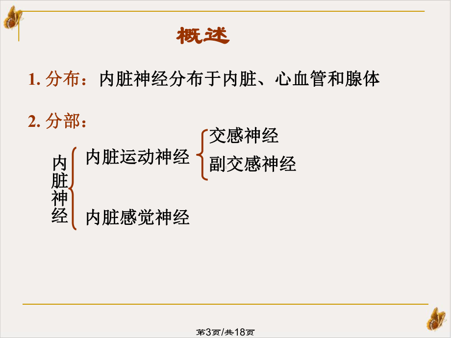 神经系统内脏神经PPT课件.pptx_第2页