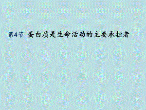 蛋白质是生命活动的基本单位教学课件.pptx