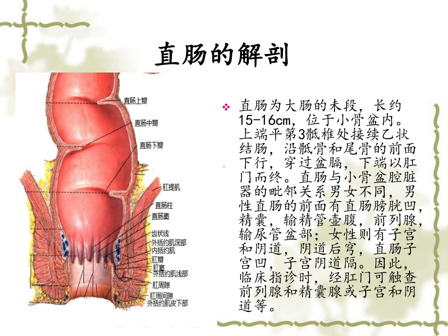 直肠穿孔的护理查房课件.ppt_第3页